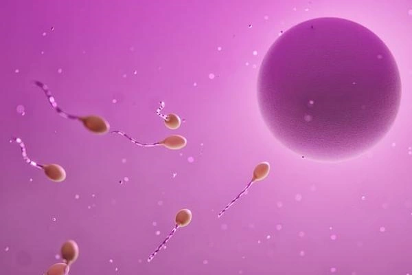 美国找亚裔卵妹的主流渠道