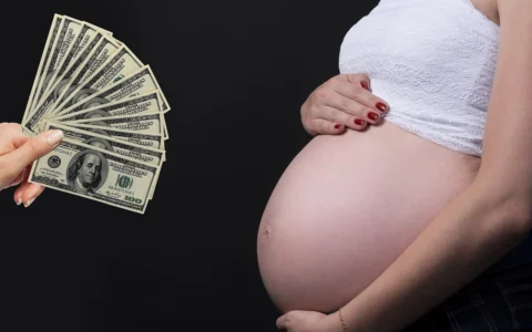 墨西哥代孕多少钱？